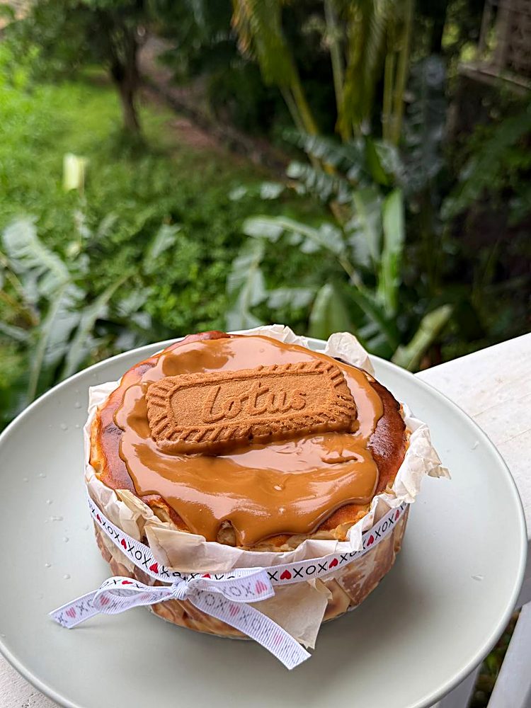 XOXO Pastry Brownie Biscoff Baby Basque Cheesecake